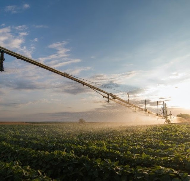 Archivo - Regadío.