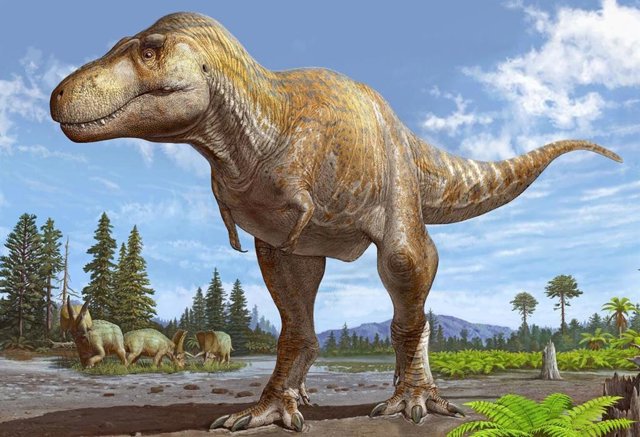 Reconstrucción del Tyrannosaurus mcraeensis