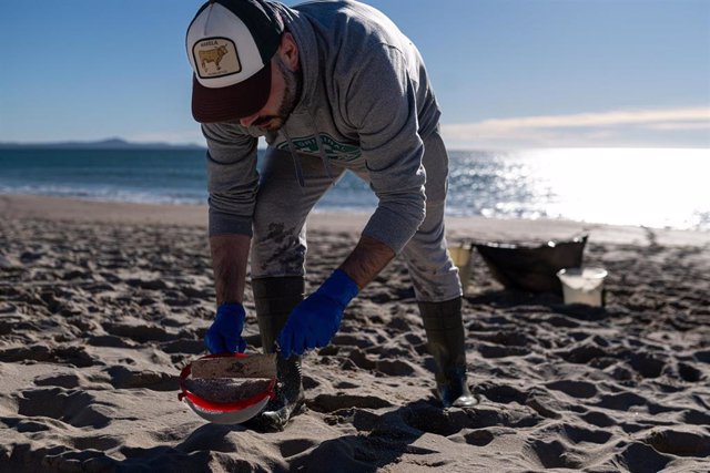 Voluntarios hacen una recogida de pélets de la arena