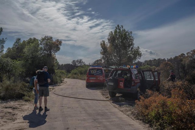 Archivo - Zona de El Saler