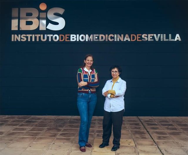 El grupo de investigación I+DNanoMed de la Universidad de Sevilla (US) está dirigido por Lucía Martín-Banderas y la investigadora Remedios Otero Candelera, neumóloga del Virgen del Rocío de Sevilla.