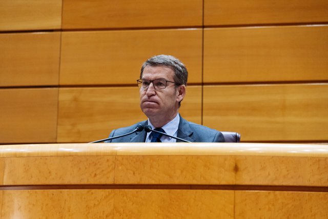 El presidente del Partido Popular, Alberto Núñez Feijóo, durante la reunión de los grupos parlamentarios del PP del Congreso y del Senado, en el Senado.