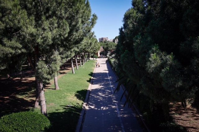 Archivo - Imagen del Jardín del Turia, en València.