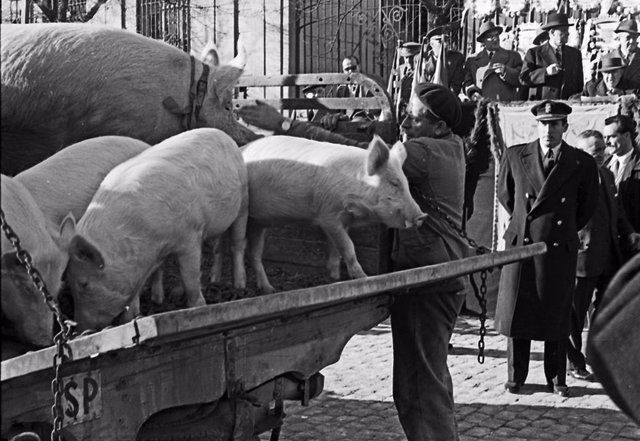 Archivo - MADRID, ESPAÑA - 17 DE ENERO DE 1958: Celebración de la fiesta de San Antón en Madrid en la que se bendicen a los animales de compañía de los feligreses. Europa Press / Europa Press (Foto de ARCHIVO) 17/1/1958