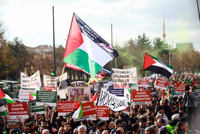 Banderes palestines durant una manifestació a Turquia