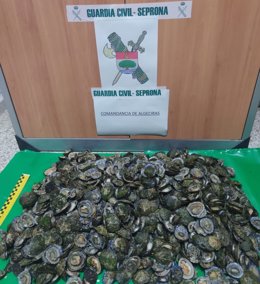Lapas intervenidas en Tarifa.
