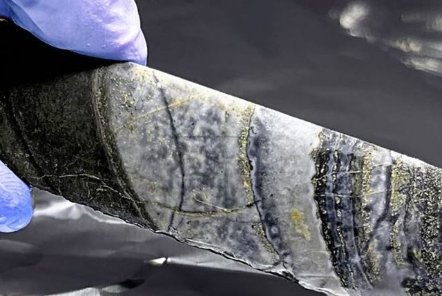 Nuevas Piezas Descubiertas En El Rompecabezas De La Cuna De La Vida