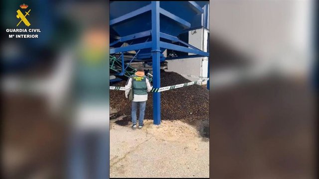 Agente de la Guardia Civil en la operación Tahunar, desarrollada en Carmona (Sevilla).