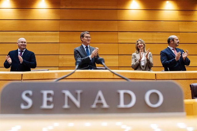 (I-D) El portavoz del PP en el Congreso, Miguel Tellado; el presidente del Partido Popular, Alberto Núñez Feijóo; la portavoz del PP en el Senado, Alicia García, y el presidente del Senado, Pedro Rollán