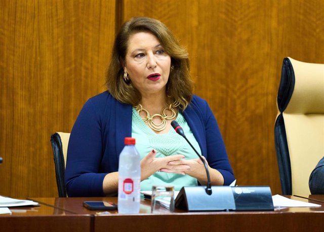 Archivo - La consejera de Agricultura, Carmen Crespo, en comisión parlamentaria. (Foto de archivo).