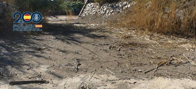 Detenido el autor confeso del asesinato de una mujer cuyo cadáver fue hallado en un arroyo en Málaga