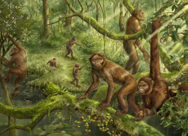 Reconstrucción del comportamiento locomotor y paleoambiente de Lufengpithecus.
