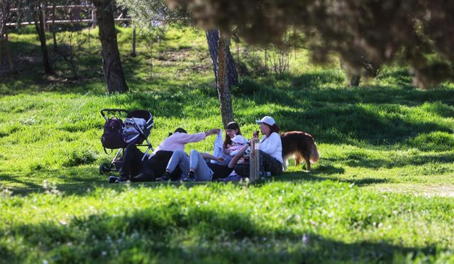 Archivo - Varias personas sentadas en el césped en la Casa de Campo, a 19 de marzo de 2023, en Madrid (España).