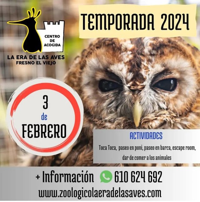 'La Era De Las Aves' Abre Temporada El Sábado Con Un Récord De Animales Acogidos Y Campaña Para Sufragar Su Manutención.