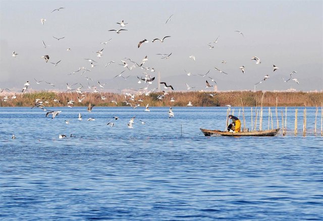 Archivo - Imagen de archivo de la Albufera de València.