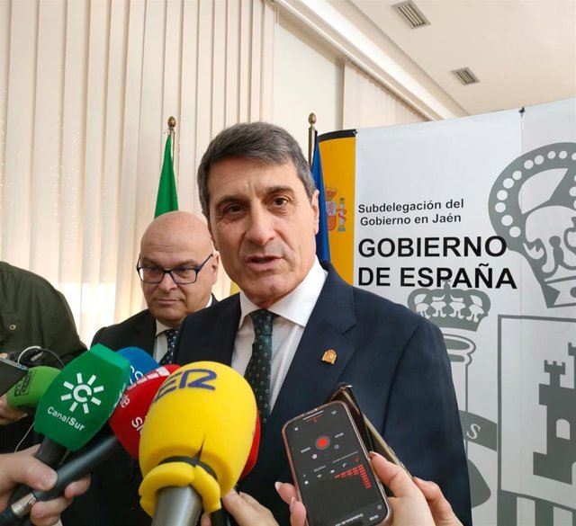El delegado del Gobierno en Andalucía, Pedro Fernández, atiende a los periodistas.