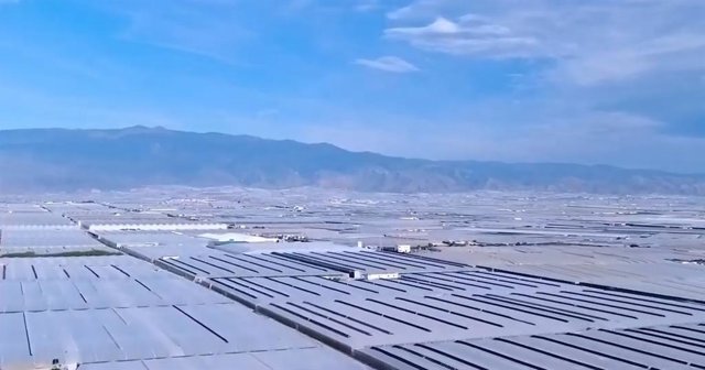 Archivo - Invernaderos en El Ejido (Almería).