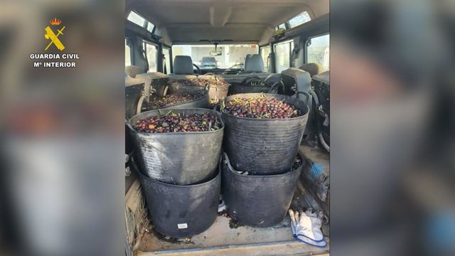La Guardia Civil investiga a dos vecinos de Hinojos por hurtar aceitunas en Sanlúcar la Mayor.