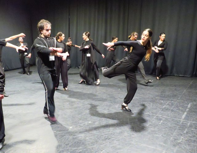 Audiciones para buscar bailarines para el Ballet Flamenco de Andalucía.