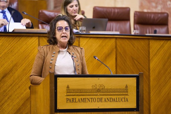 La consejera de Salud, Catalina García, este miércoles en el Pleno del Parlamento.