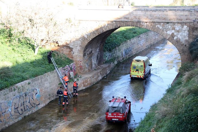 Una ambulancia bajo el puente del torrente de Sa Riera donde fue hallado el hombre. 