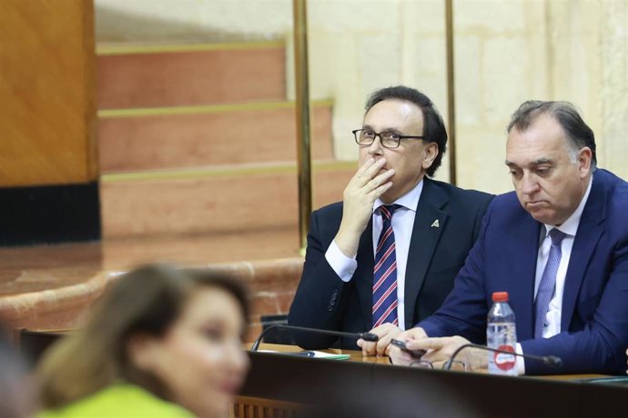 El consejero de Universidad, Investigación e Innovación, José Carlos Gómez Villamandos (i) y el consejero de Turismo, Cultura y  Deporte, Arturo Bernal (d), en el pleno del Parlamento.
