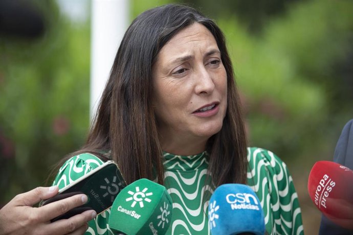 Archivo - Imagen de archivo de la consejera de Inclusión Social, Juventud, Familias e Igualdad, Loles López, atiende a los medios.