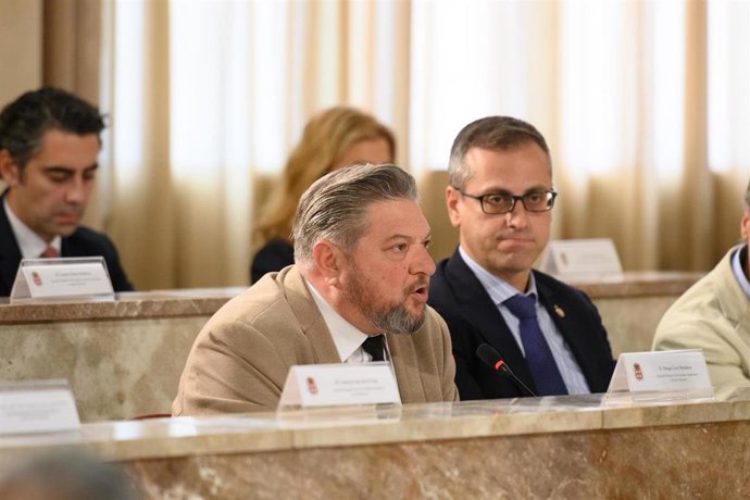 El concejal de Cultura, Diego Cruz, en la sesión plenaria de este viernes en el Ayuntamiento de Almería