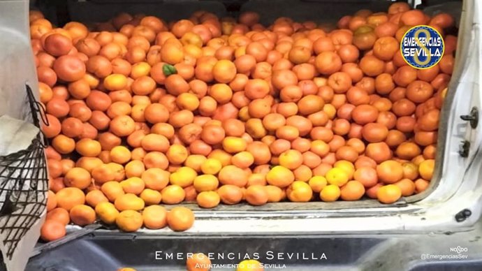 Mandarinas robadas en una finca recuperadas por la Policía Local de Sevilla