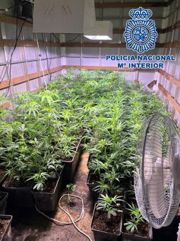 A prisión el líder de una organización afincada en Rota por tráfico de hachís con 8.500 kilos incautados.