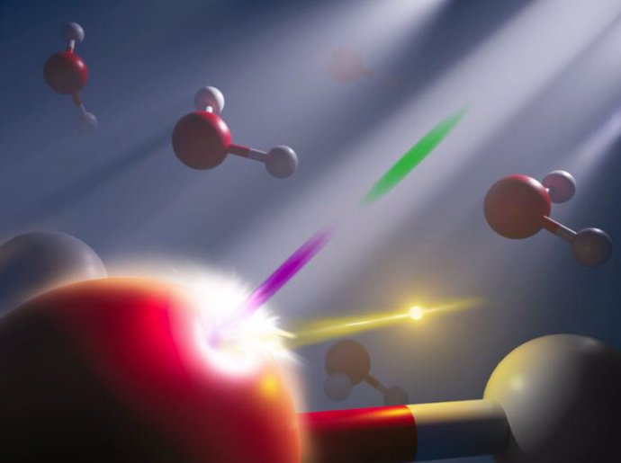 Pulsos de rayos X de attosegundos sincronizados (que se muestran en rosa y verde) de un láser de electrones libres de rayos X fueron usados para estudiar la respuesta energética de los electrones (oro) en agua líquida.