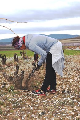 Más de 100 jóvenes de Guadalajara han mostrado su intención de incorporarse al campo solicitando ayudas de la Junta