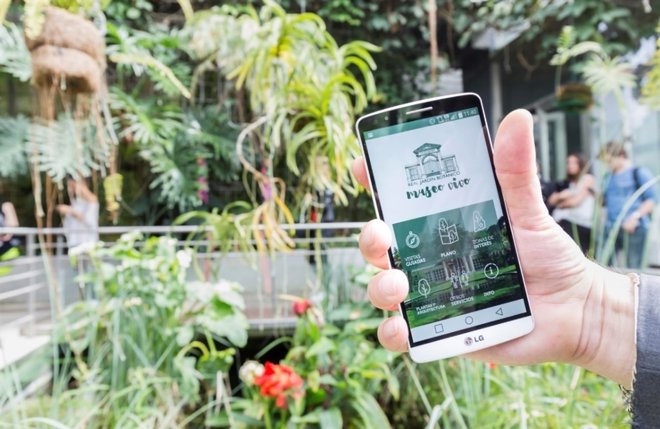 Jardín botánico rjb museo vivo app aplicación hpe aruba mobile 72