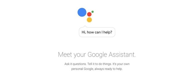  Google Assistant