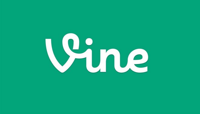 Vine